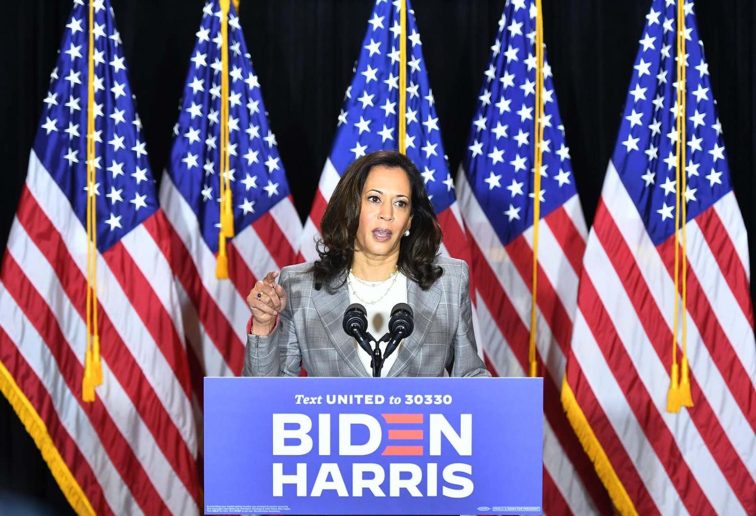 US Senator Kamala Harris speaks to the press in Wilmington, Delaware, 13 August 2020 (Mandel Ngan/AFP via Getty Images)